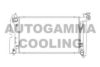 AUTOGAMMA 104126 Radiator, engine cooling